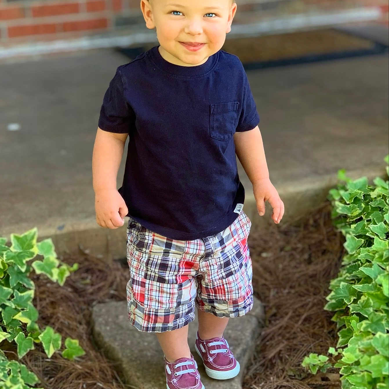 Jameson joined the competition — help win amazing prizes! boy, brick_wall, casual_clothing, child, curly_hair, daylight, face, greenery, happy, navy_tshirt, outdoor, person, plaid_shorts, plants, porch, smiling, sneakers, standing, stone_path, toddler