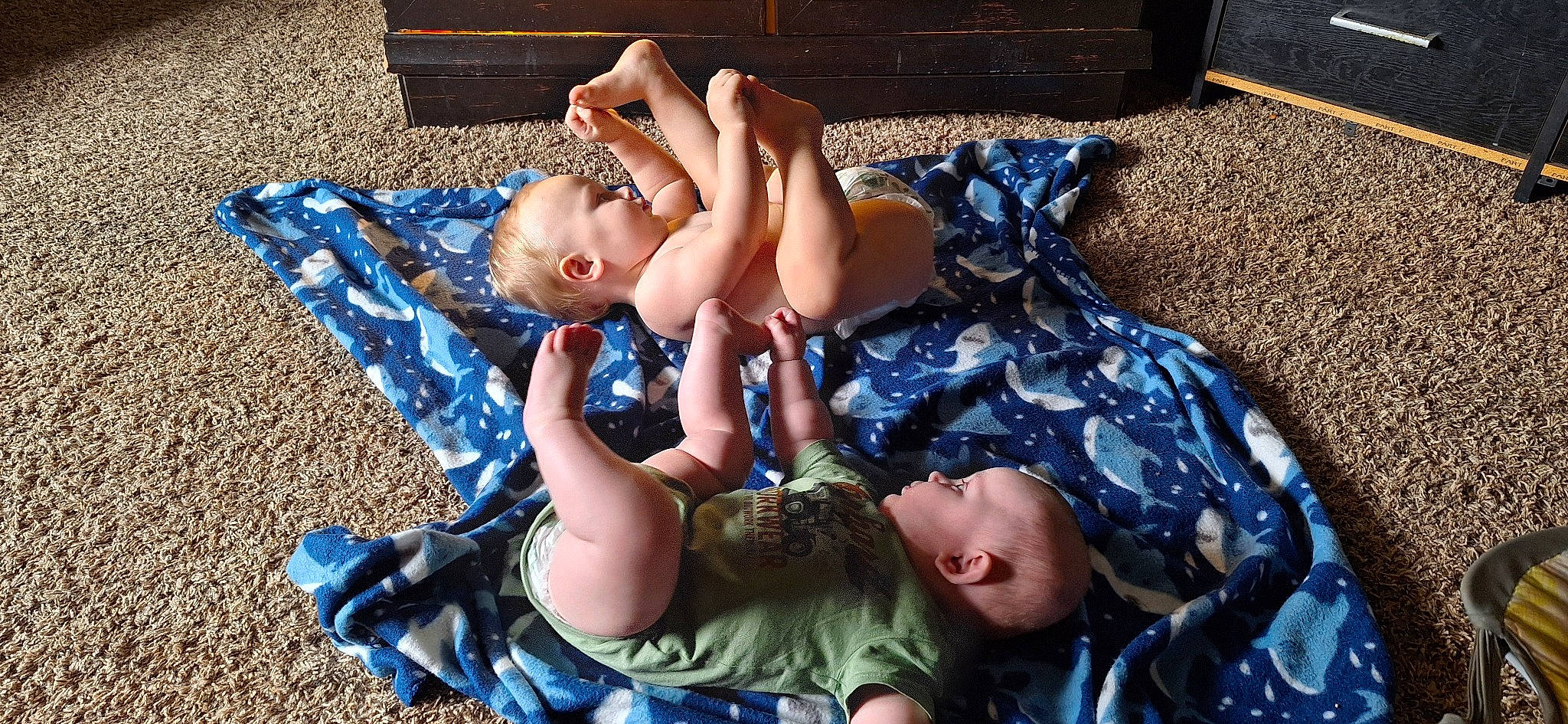 Phoenix joined the competition — help win amazing prizes! abdomen, azure, baby, barefoot, blue, chest, electric_blue, fun, grass, happy, human_leg, leg, leisure, people_in_nature, person, play, shorts, sitting, thigh, toddler