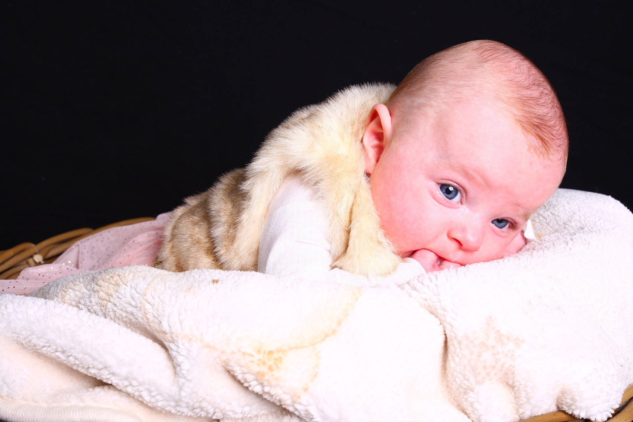 Louane participe au concours pour gagner de l'argent avec cette photo : baby, cheek, child, ear, eye, fur, lip, nose, person, photography, pink, portrait, portrait_photography, skin, smile, toddler, tummy_time