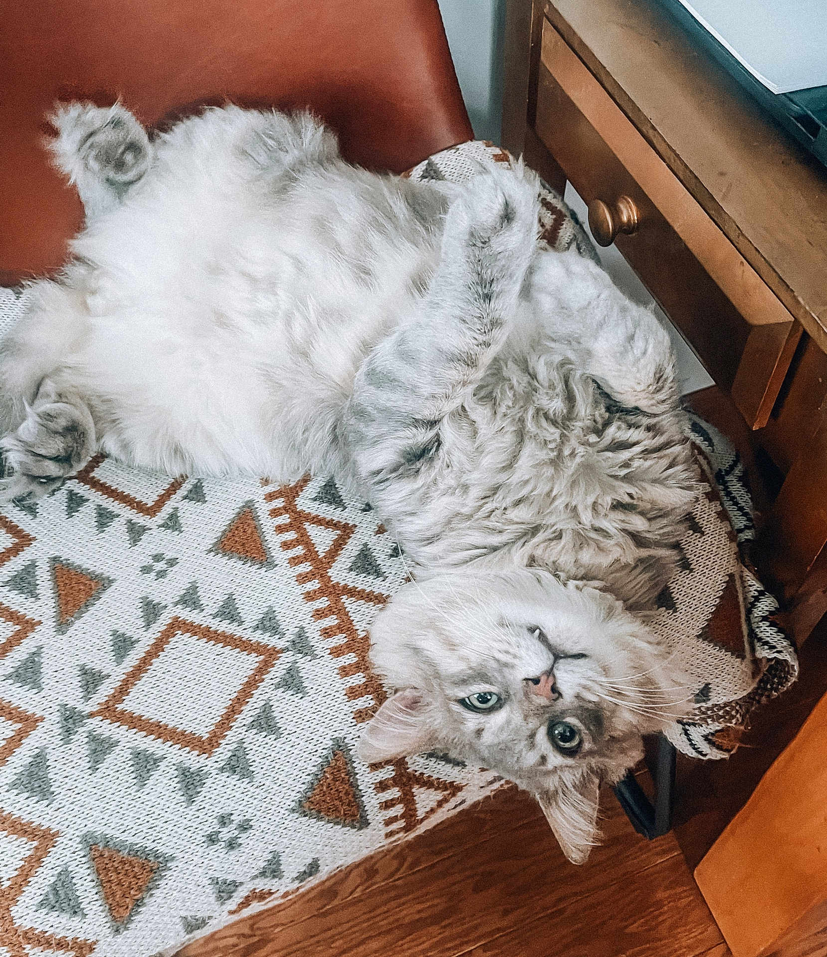 Sir Louis V joined the competition — help win amazing prizes! cat, fluffy, upside_down, blanket, patterned, chair, wooden_furniture, indoor, pet, relaxed, cute, fur, whiskers, green_eyes, cozy, home, animal, resting, curious, domestic