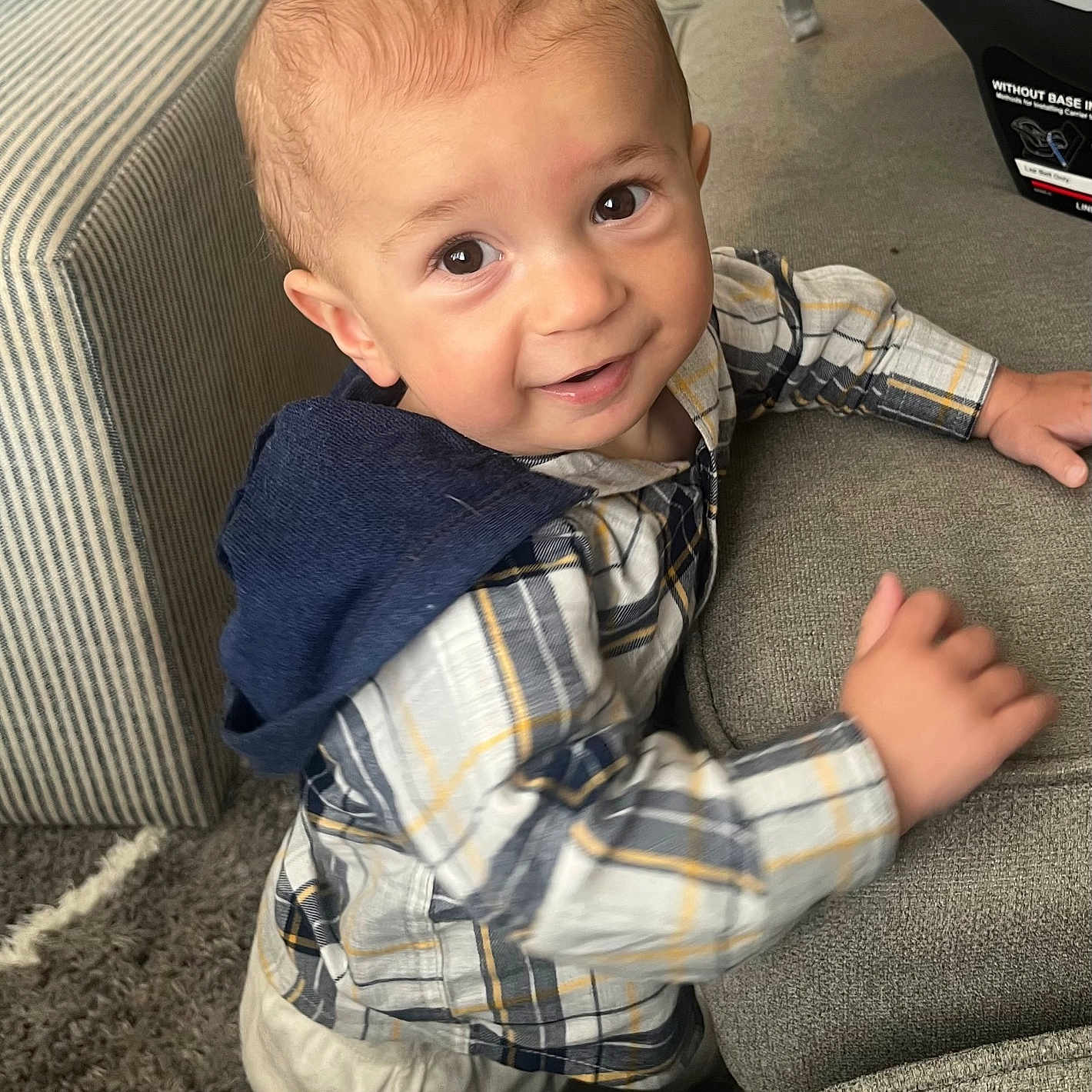 Maverick joined the competition — help win amazing prizes! accessories, baby, bag, clothing, couch, cushion, face, furniture, handbag, happy, head, homedecor, jeans, pants, person, photography, portrait, shirt, sitting, smile