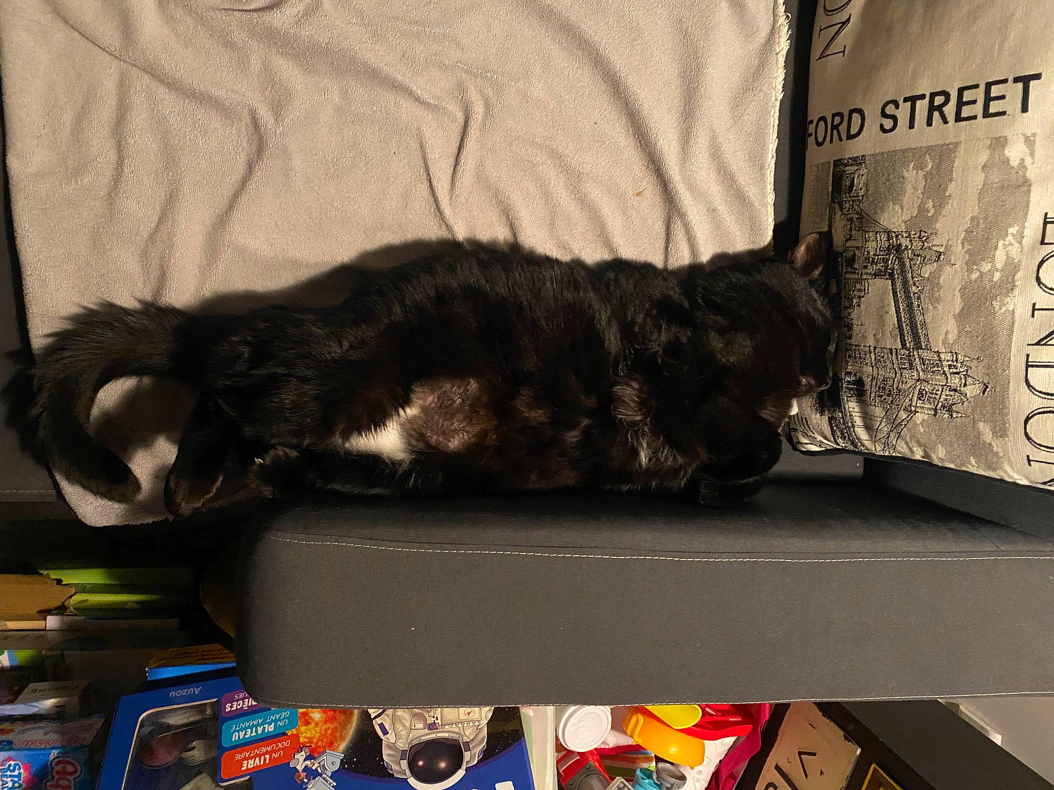 Smoothie participe au concours pour gagner de l'argent avec cette photo : black_cat, carnivore, cat, claw, comfort, domestic_short_haired_cat, felidae, fur, mammal, nap, paw, room, small_to_medium_sized_cats, tail, vertebrate, whiskers