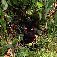 Smoothie a rejoint le concours — aidez-le/la à gagner de superbes lots !