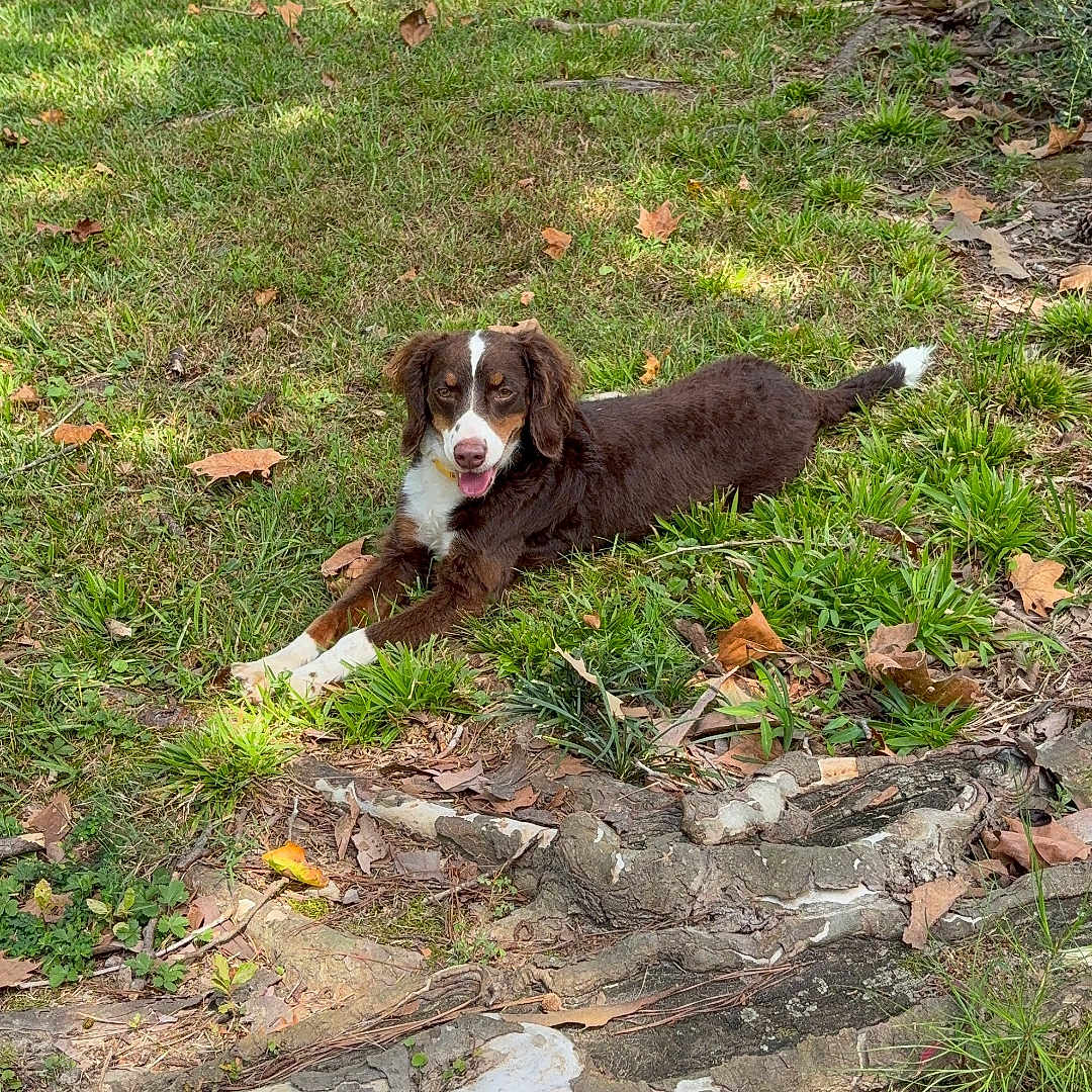 Gracie Mae