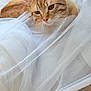 animal, cat, closeup, cozy, cute, domestic_cat, ears, feline, fluffy, ginger_cat, indoor, pet, portrait, relaxed, resting, sleepy, soft_texture, tabby, whiskers, white_fabric