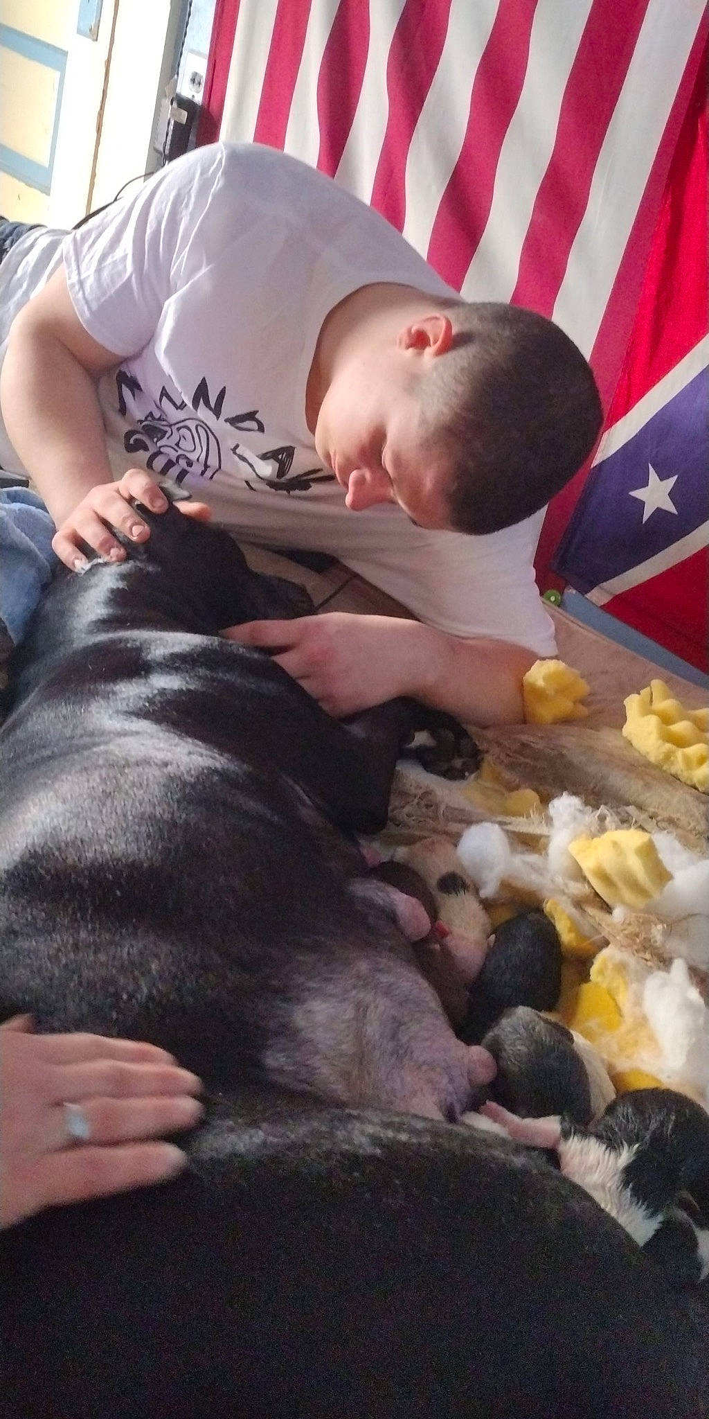 Bonnie is registered to the contest to win money with this photo: baby, canidae, carnivore, child, comfort, companion_dog, dog, dog_breed, flag, fur, guard_dog, ingredient, nap, room, sitting, sleep, sporting_group, t_shirt, toddler, vegetable