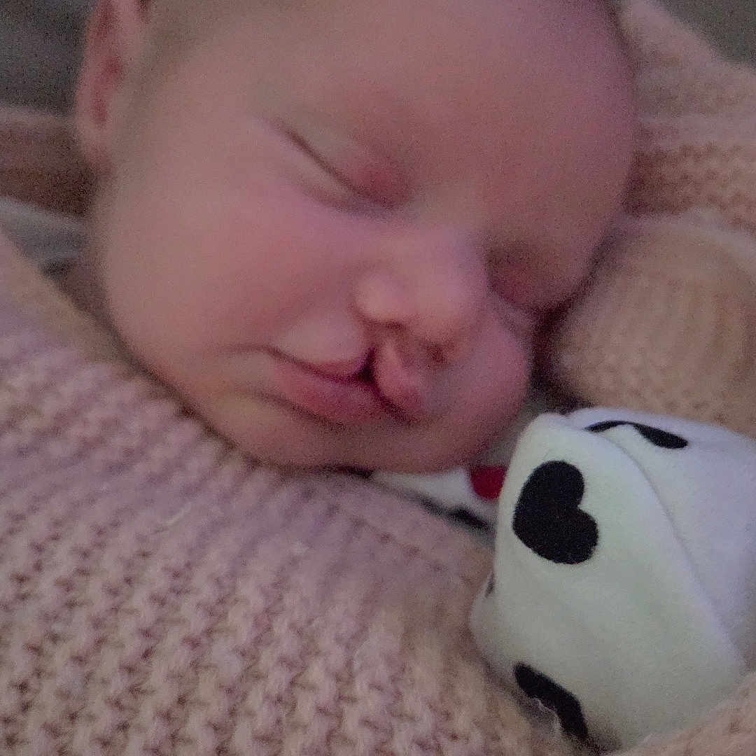 Lunaurora is registered to the contest to win money with this photo: baby, blanket, child, closeup, cozy, cute, face, head, heart_pattern, indoor, infant, knitted, peaceful, plush_toy, portrait, resting, sleeping, soft_texture, wrapped, young