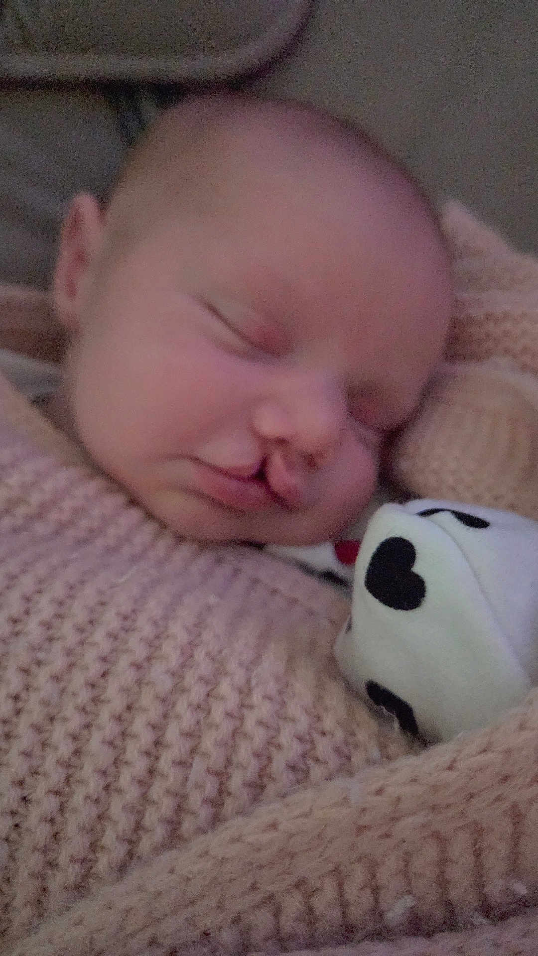 Lunaurora is registered to the contest to win money with this photo: baby, sleeping, blanket, knitted, plush_toy, heart_pattern, closeup, soft_texture, infant, peaceful, cozy, child, portrait, indoor, cute, wrapped, resting, head, face, young