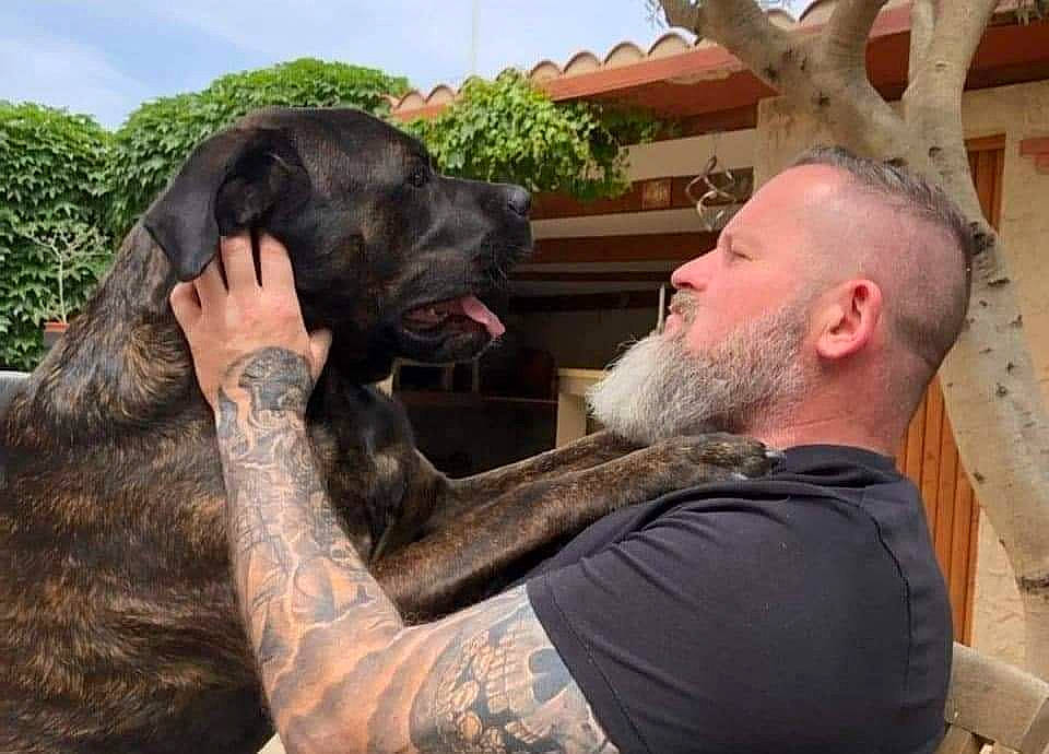 Oxo participe au concours pour gagner de l'argent avec cette photo : animal_training, beard, carnivore, cloud, dog, dog_breed, event, flesh, fur, gesture, leisure, natural_material, plant, sky, snout, sporting_group, t_shirt, terrestrial_animal, tree, working_animal