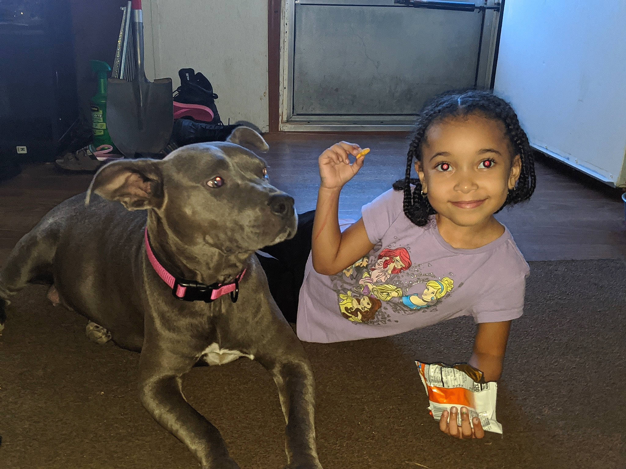 Mary joined the competition — help win amazing prizes! american_pit_bull_terrier, bandog, canidae, carnivore, companion_dog, dog, dog_breed, ear, fawn, guard_dog, joy, non_sporting_group, person, pit_bull, sporting_group