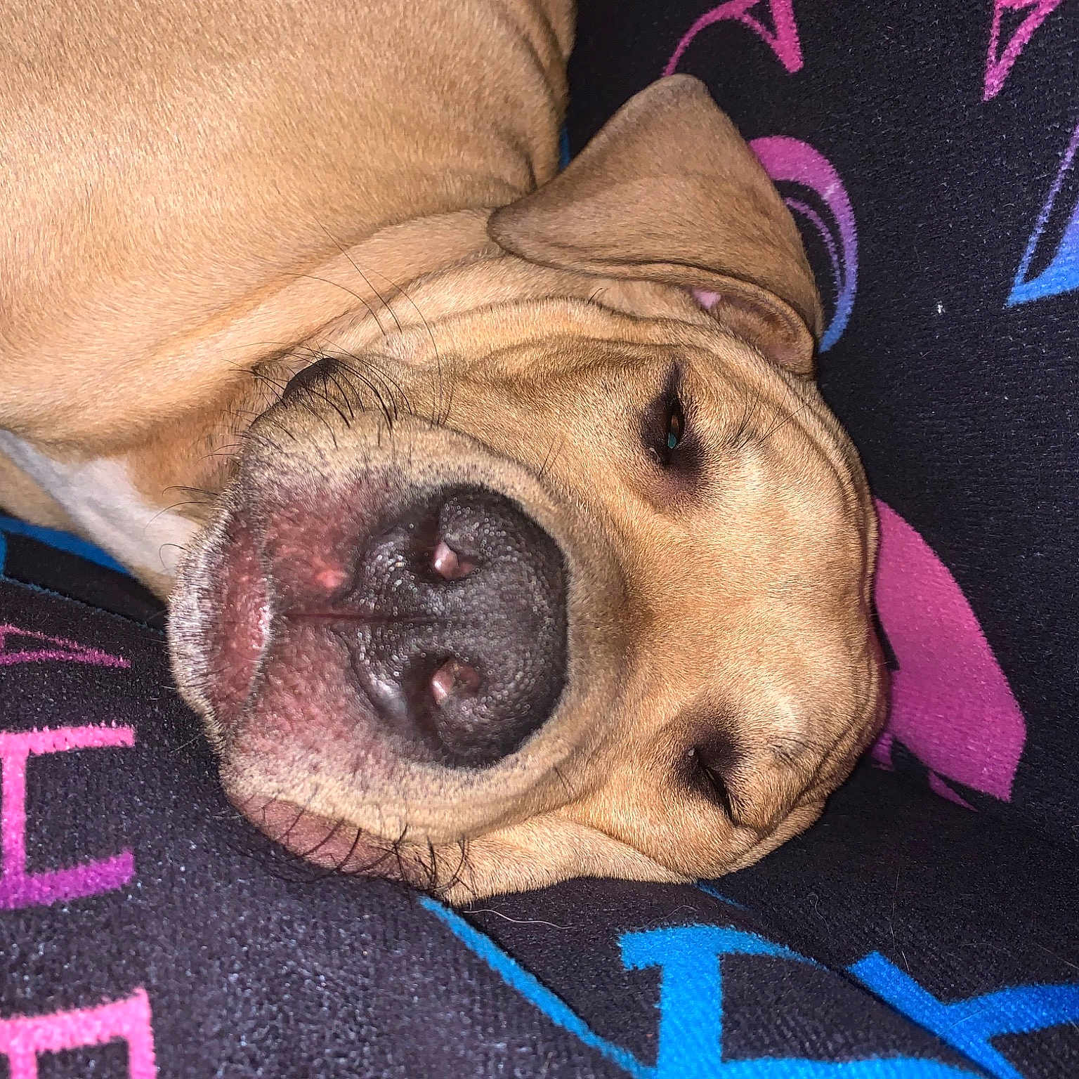Skar