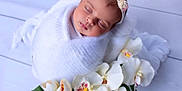 Jasmine joined the competition — help win amazing prizes! baby, sleeping, white_blanket, headband, flower, orchid, floral, portrait, peaceful, newborn, infant, soft_texture, wrapped, cute, adorable, face, closeup, indoor, decor, resting