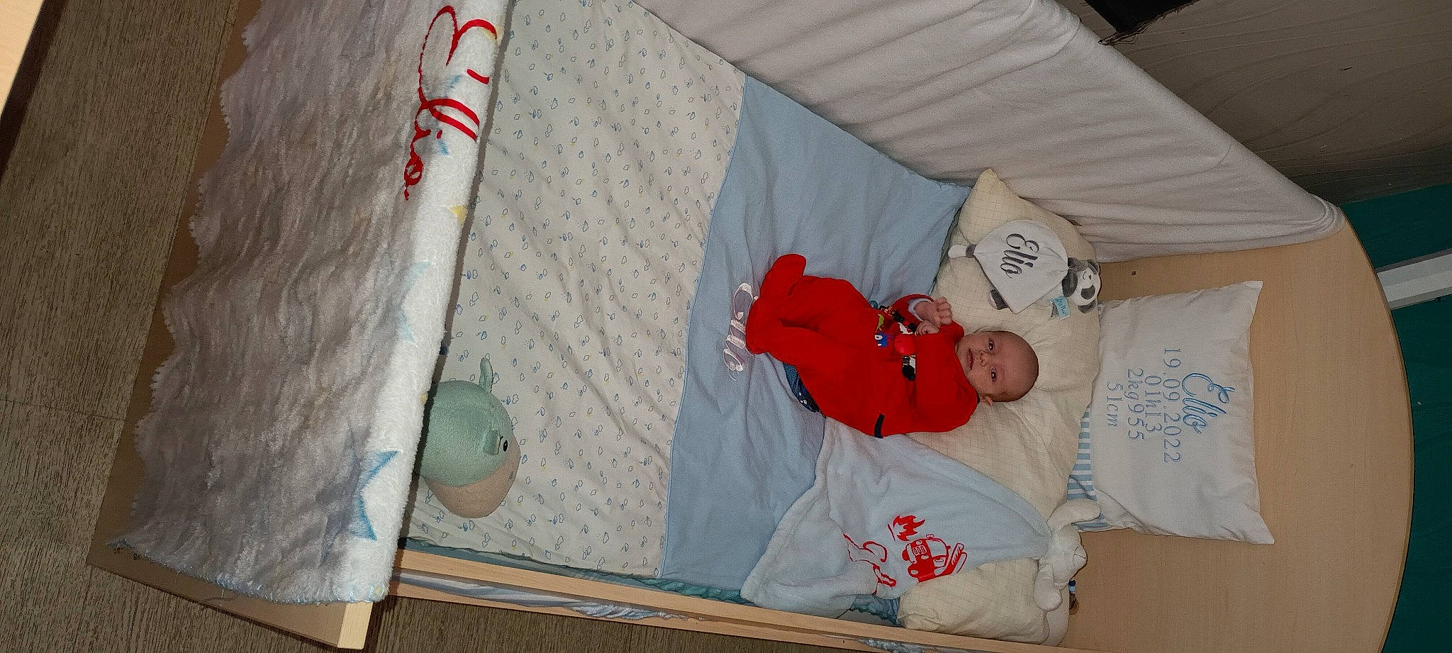 Elio participe au concours pour gagner de l'argent avec cette photo : baby, baby_safety, baby_toddler_clothing, carmine, child, comfort, handwriting, infant_bed, linens, paper, pattern, person, room, sleeve, textile, toddler, wood