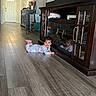 baby, child, pajamas, floor, wooden_floor, reflection, cabinet, furniture, indoor, hallway, door, curious, person, smiling, home, living_room, dark_wood, reflection_glass, cute, infant