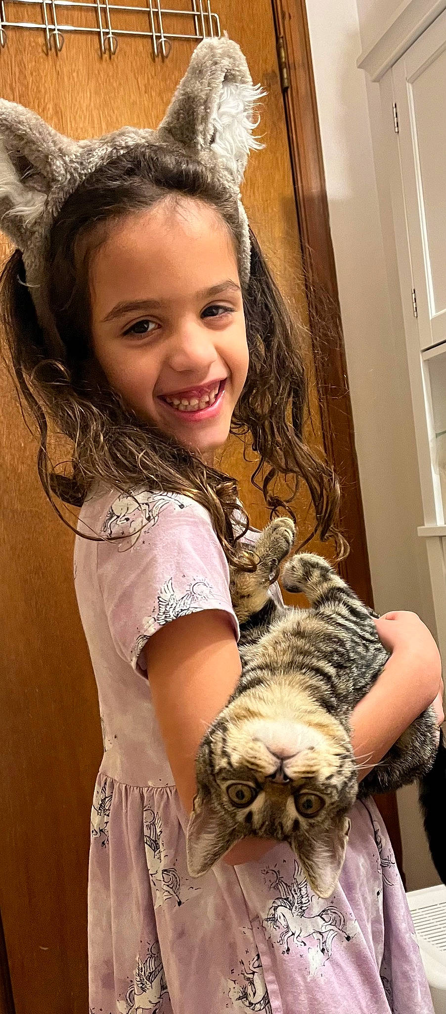 Gabriel joined the competition — help win amazing prizes! big_cats, blond, brown_hair, carnivore, cat, companion_dog, eye, fawn, felidae, hair, happy, head, iris, long_hair, organ, skin, small_to_medium_sized_cats, smile, terrestrial_animal, whiskers