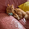 cat, orange_tabby, toy_mouse, couch, leather, pink_couch, yellow_pillow, quilted_pillow, indoor, pet, feline, relaxed, sunlight, window, fur, claw, whiskers, ears, tail, living_room