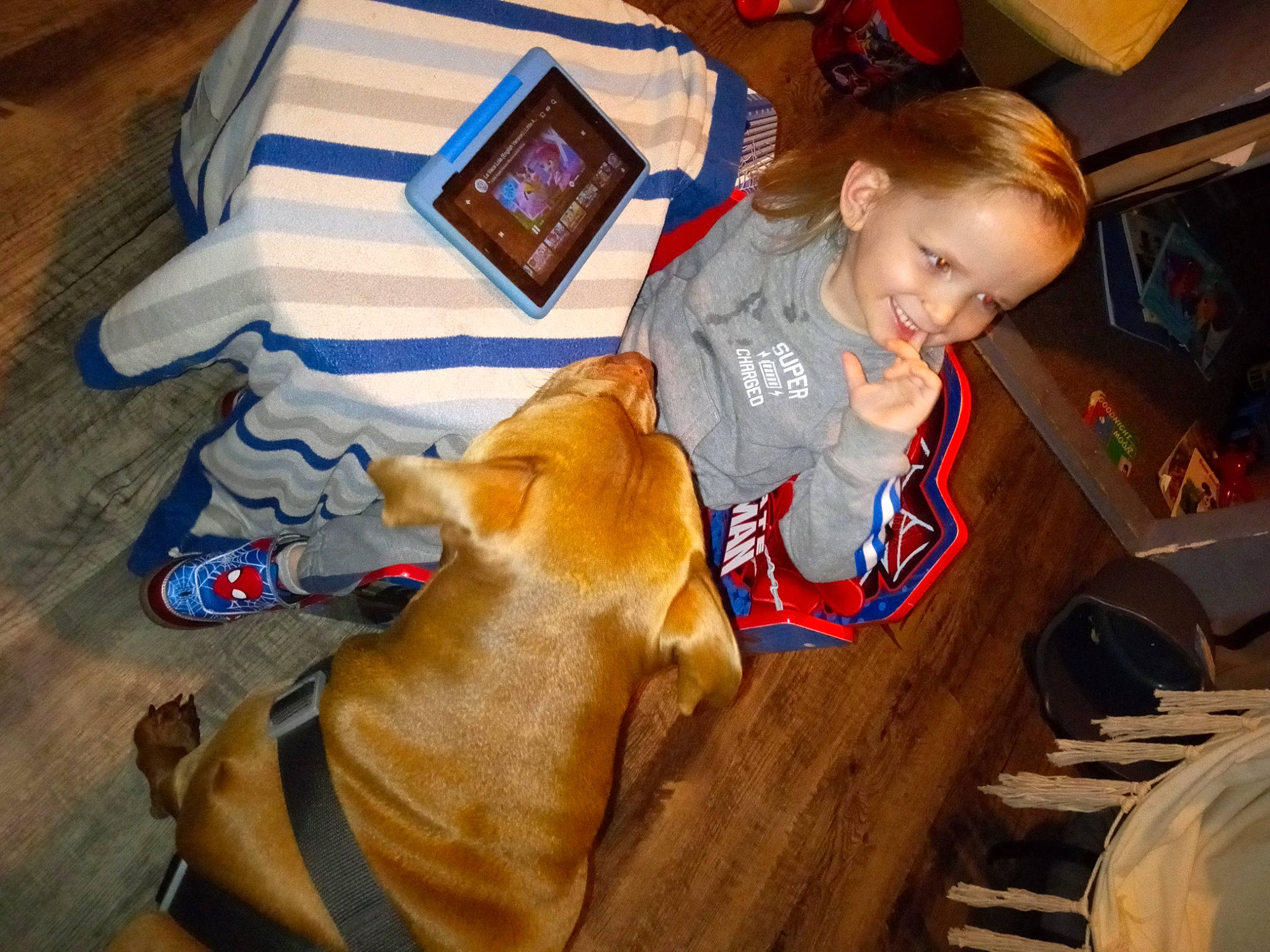 Dennis joined the competition — help win amazing prizes! carnivore, child, christmas, comfort, companion_dog, dog, dog_breed, fawn, flooring, fun, hardwood, joy, lap, person, sitting, smile, sporting_group, t_shirt, toddler, varnish