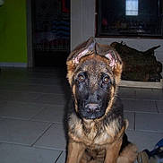 Jaya participe au concours pour gagner de l'argent avec cette photo :