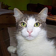 Kimi participe au concours pour gagner de l'argent avec cette photo :