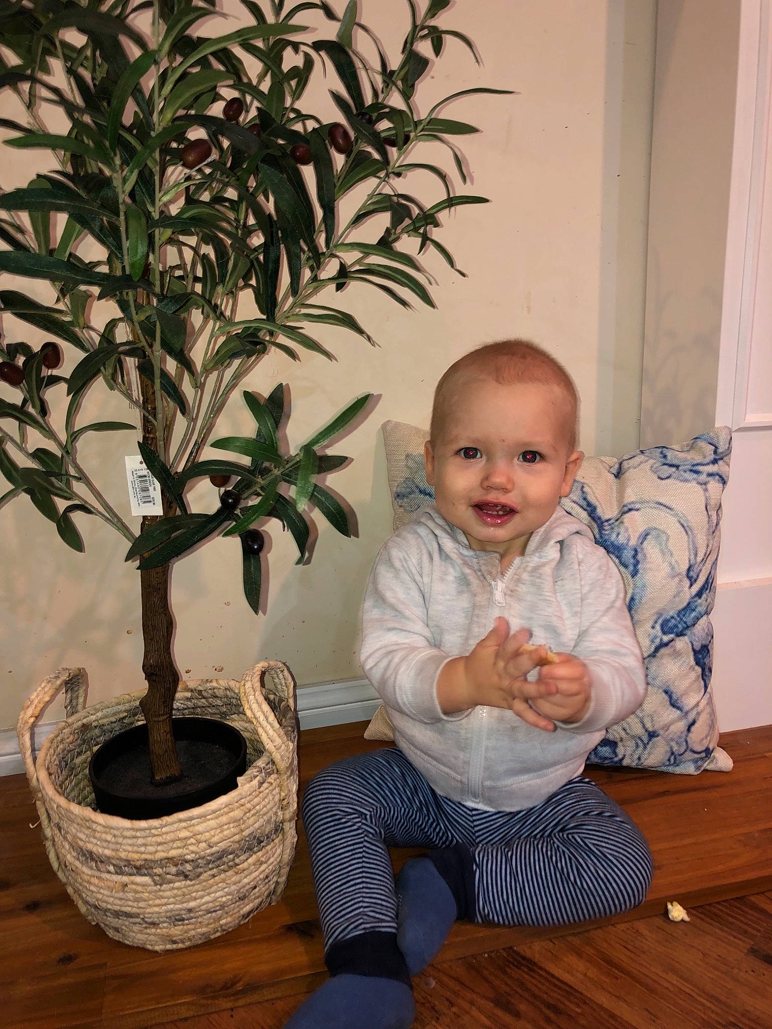 Ted joined the competition — help win amazing prizes! child, flowerpot, houseplant, person, plant, sitting, toddler, tree