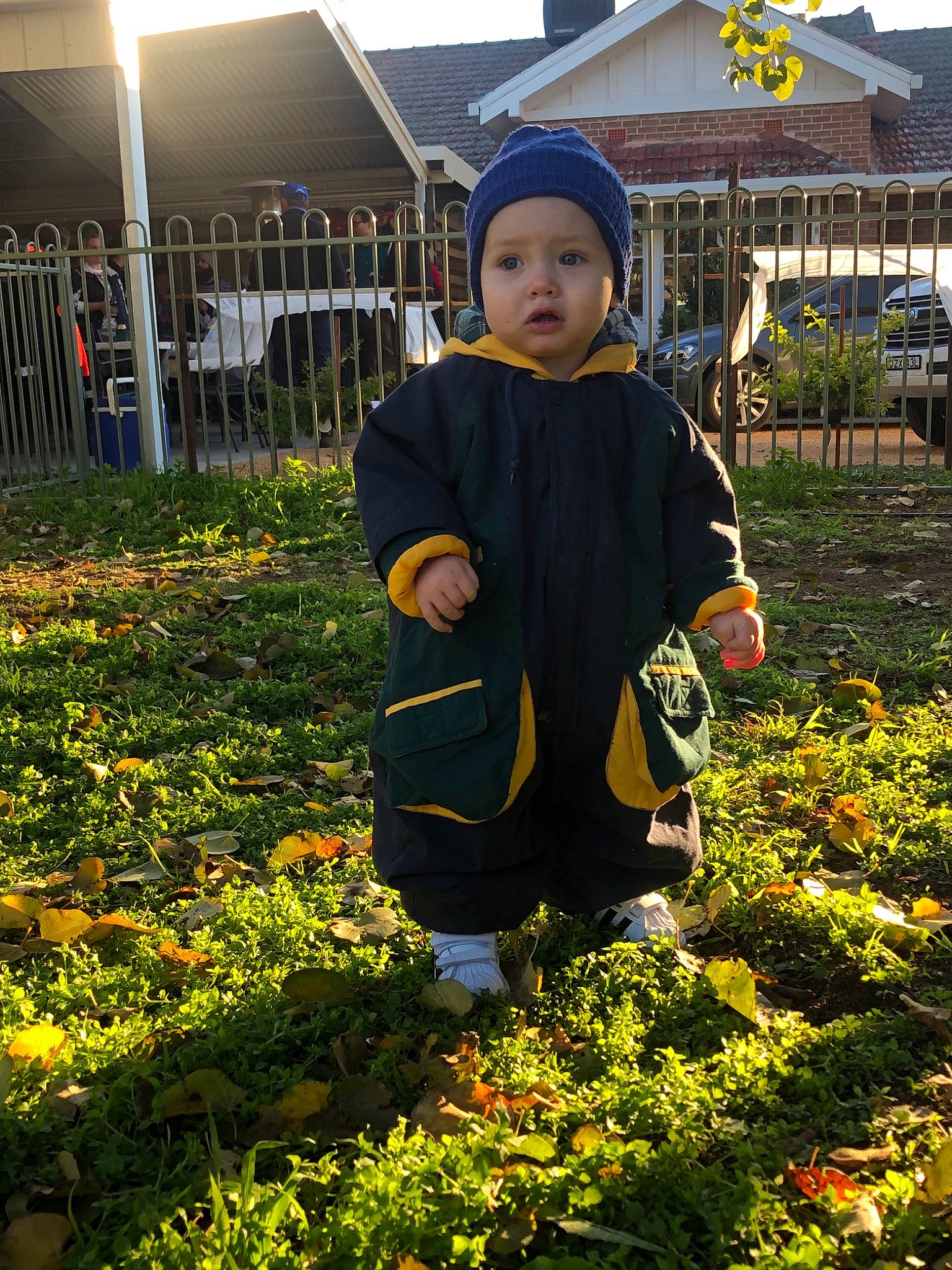 Ted joined the competition — help win amazing prizes! autumn, botany, child, flower, garden, leaf, outerwear, person, plant, shrub, sky, smile, spring, toddler, tree, yard, yellow