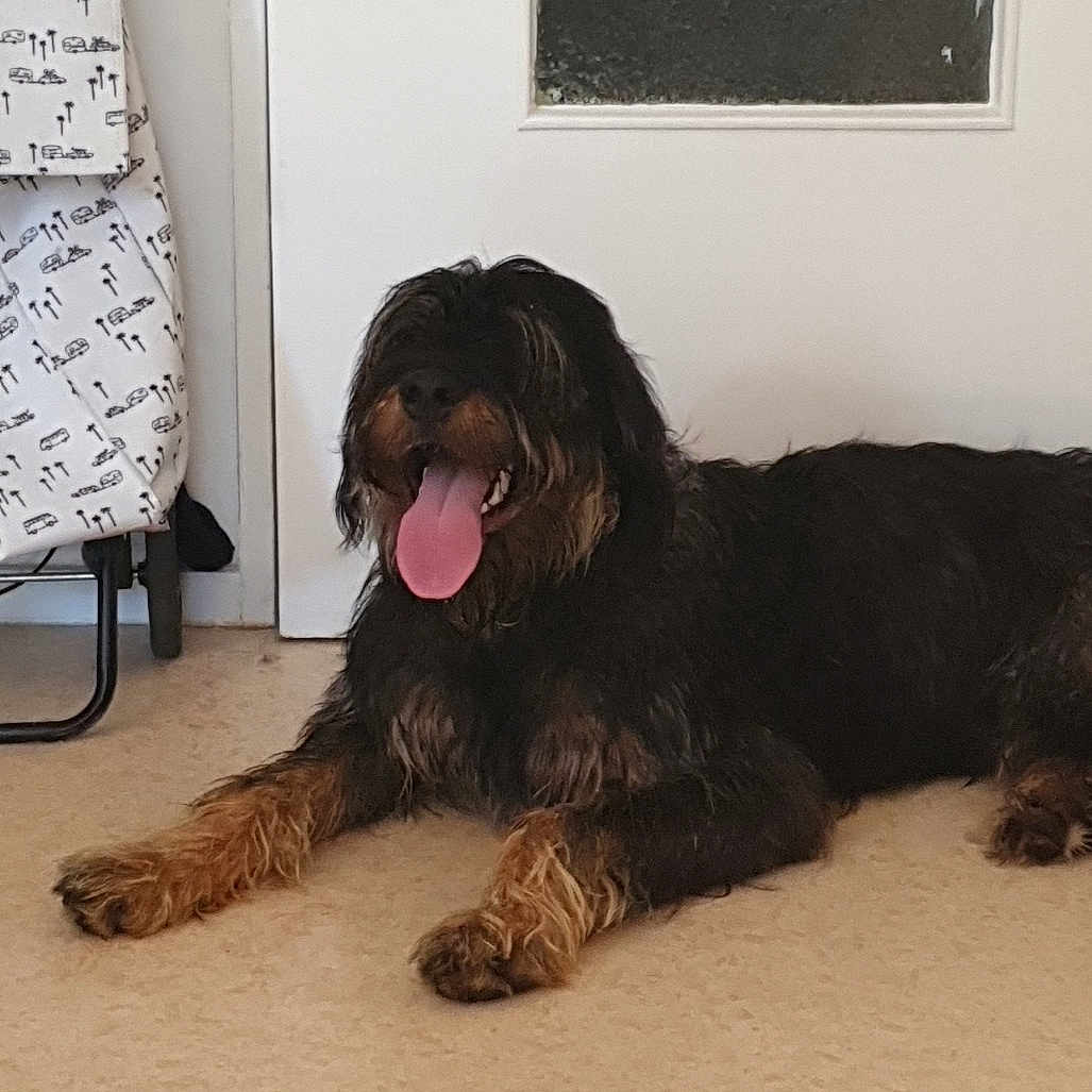 Paco