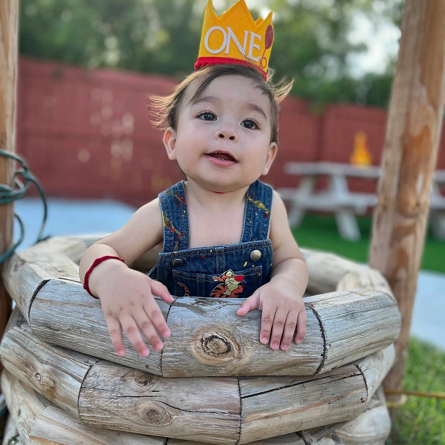 Basilio joined the competition — help win amazing prizes! baby, casual_clothing, child, crown, curious, daylight, denim_overalls, fence, grass, happy, nature, one_year_old, outdoor, picnic_table, playful, portrait, smiling, toddler, wooden_well, young_child