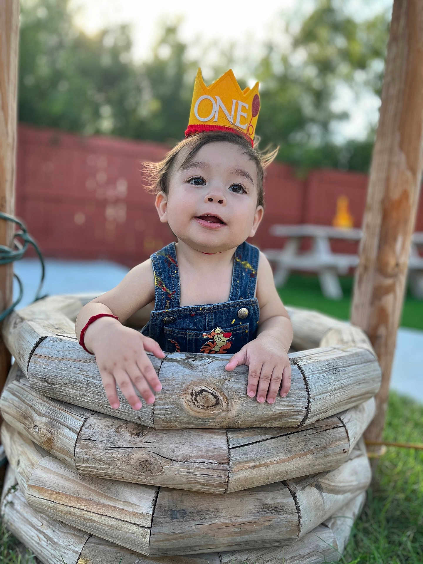Basilio joined the competition — help win amazing prizes! child, baby, one_year_old, crown, denim_overalls, outdoor, wooden_well, grass, picnic_table, fence, happy, curious, toddler, daylight, portrait, smiling, playful, young_child, nature, casual_clothing