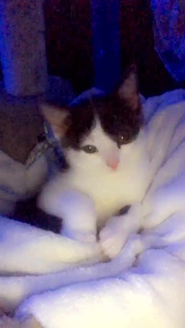 Marley