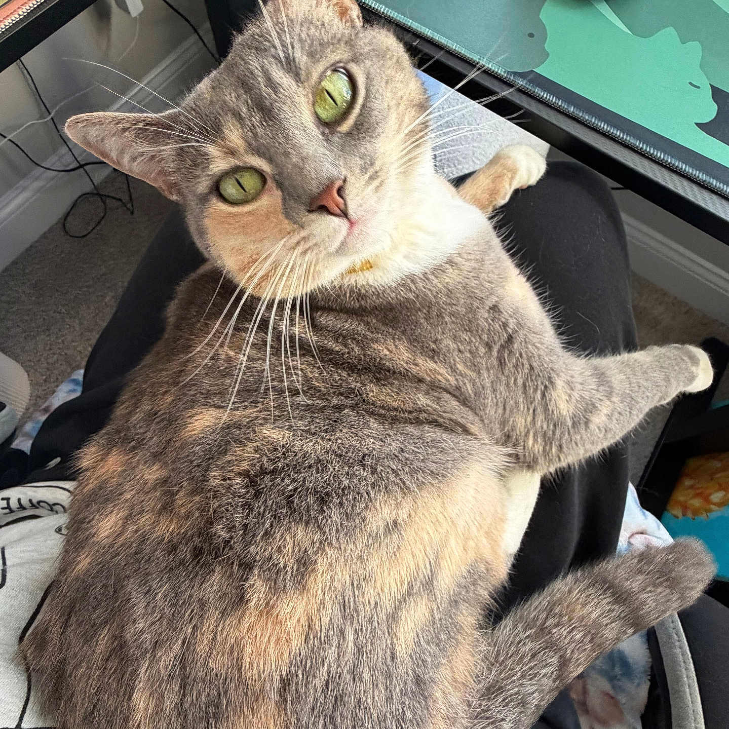 Millie