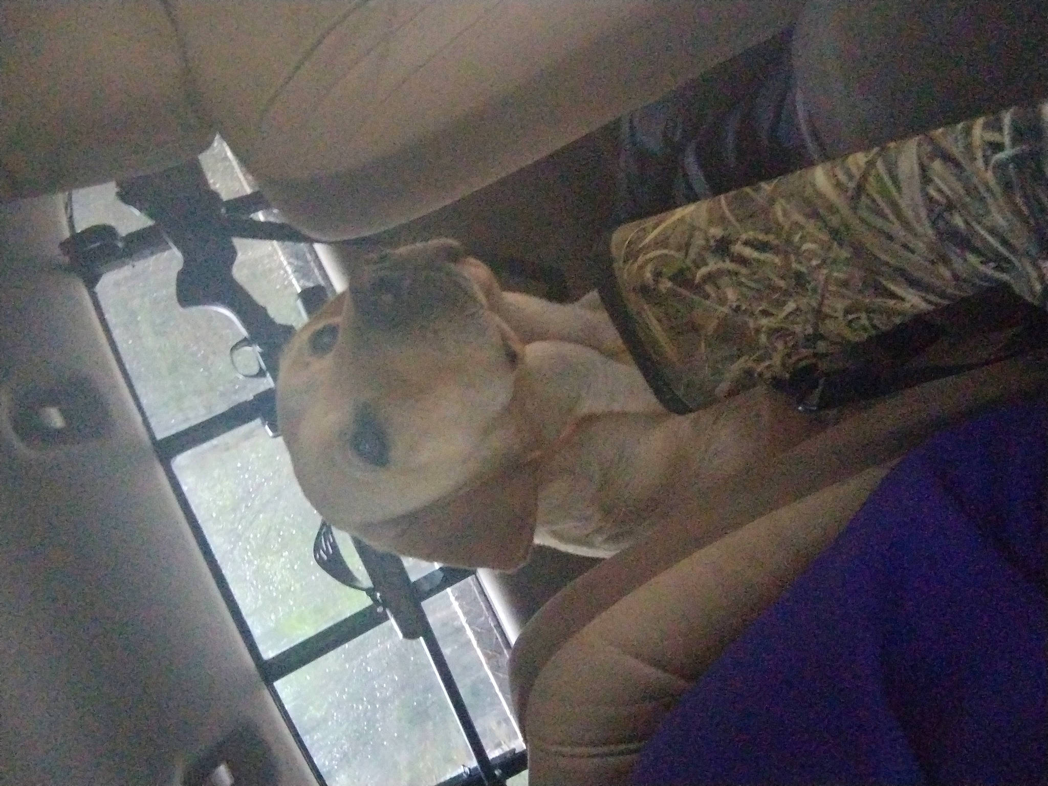 Duck joined the competition — help win amazing prizes! abdomen, art, auto_part, automotive_exterior, car_seat, chest, elbow, family_car, hat, helmet, human_leg, metal, room, sculpture, statue, stuffed_toy, thigh, toy, trunk, vehicle_door