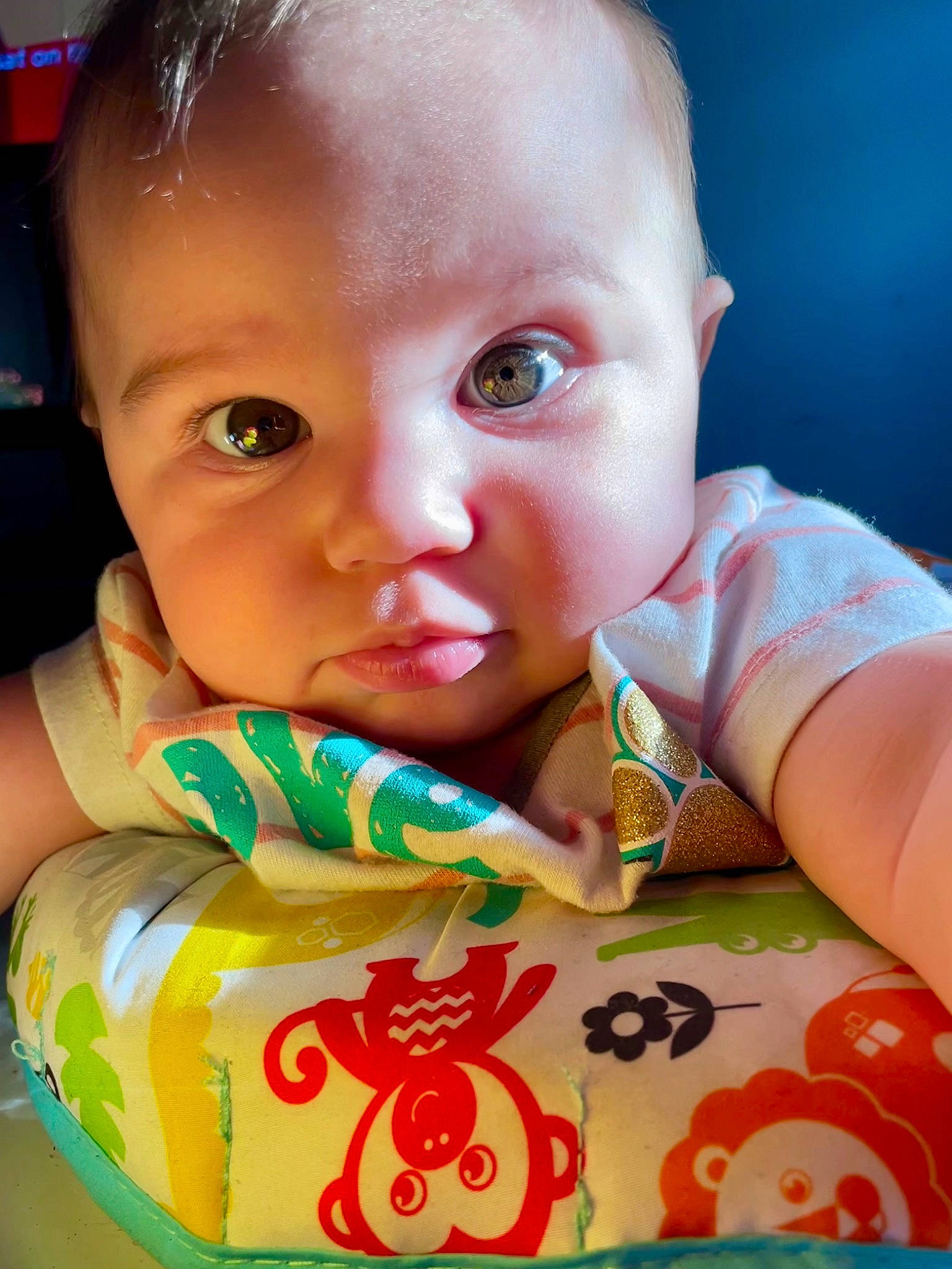 Amelia is registered to the contest to win money with this photo: baby, baby_products, baby_toddler_clothing, cheek, child, chin, dress, forehead, fun, hairstyle, happy, iris, lip, mouth, nose, person, portrait_photography, sitting, skin, toddler