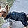 Jaxx
