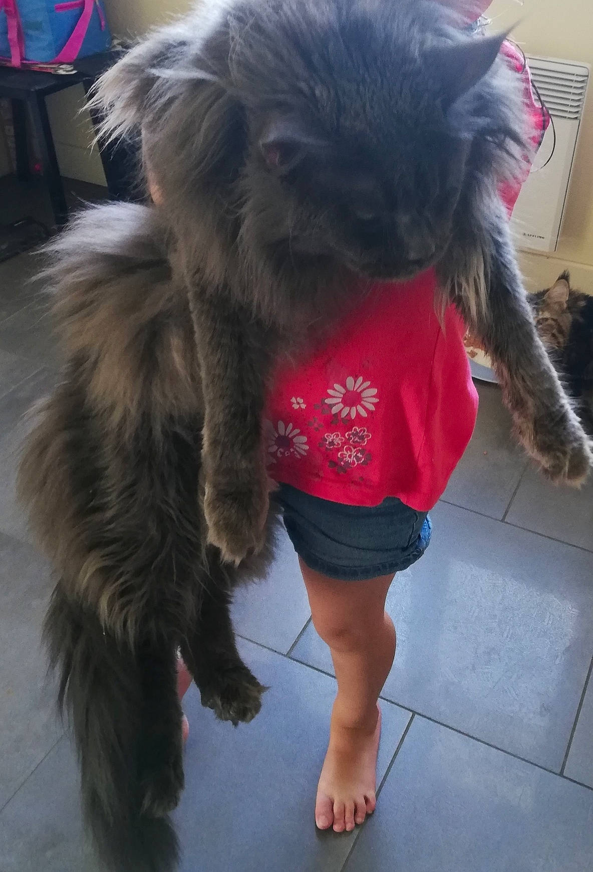 Naruto De La Palmeraiecoon'S