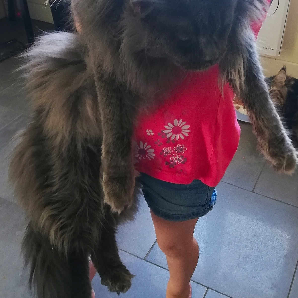 Naruto De La Palmeraiecoon'S