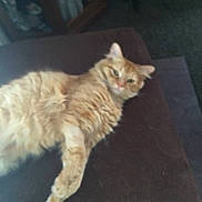 Calvin is registered to the contest to win money with this photo: