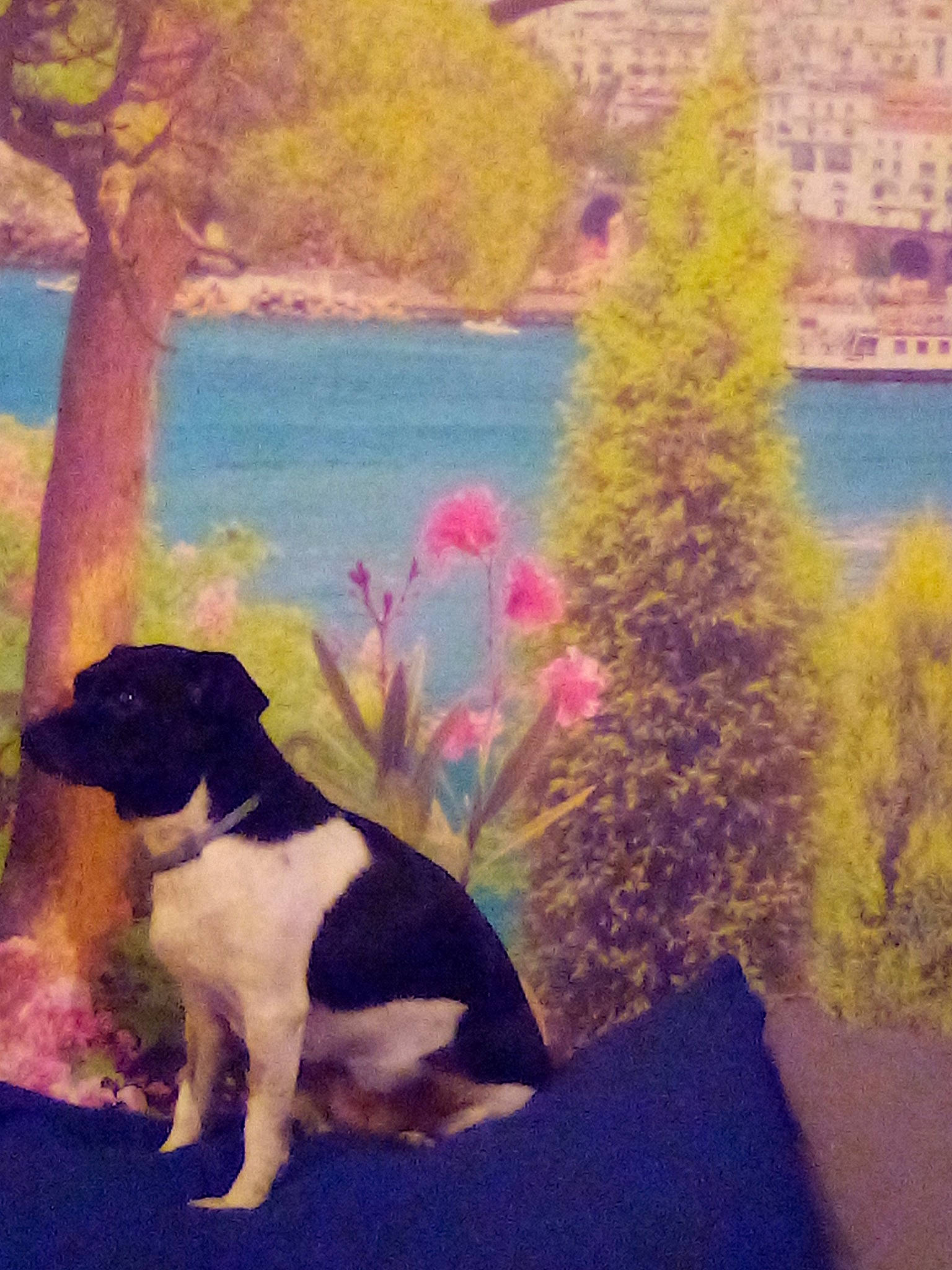 Sultane a rejoint le concours — aidez-le/la à gagner de superbes lots ! canidae, carnivore, dog, dog_breed, english_springer_spaniel, hunting_dog, painting, plant, pointer, puppy, sky, sporting_group, tail