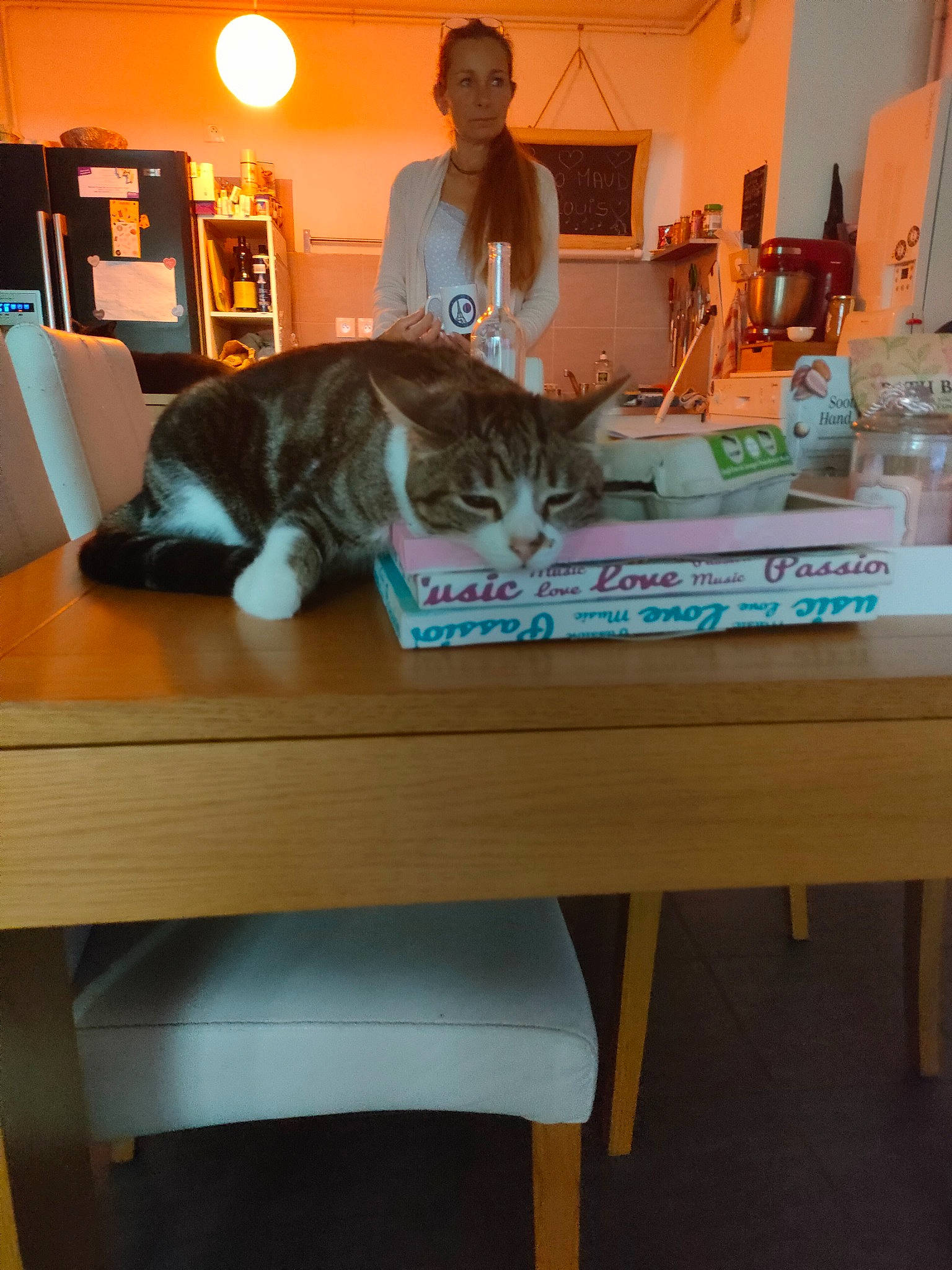 Sushi participe au concours pour gagner de l'argent avec cette photo : bookcase, carnivore, cat, comfort, desk, eyewear, felidae, flooring, fur, furniture, hardwood, home_appliance, lamp, linens, room, small_to_medium_sized_cats, table, tail, whiskers, wood