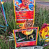 dog, pomeranian, pet, costume, pokemon, trading_card, custom_card, outdoor, garden, grass, plants, flowers, toy, pokeball, orange_costume, portrait, small_dog, fluffy, happy, colorful
