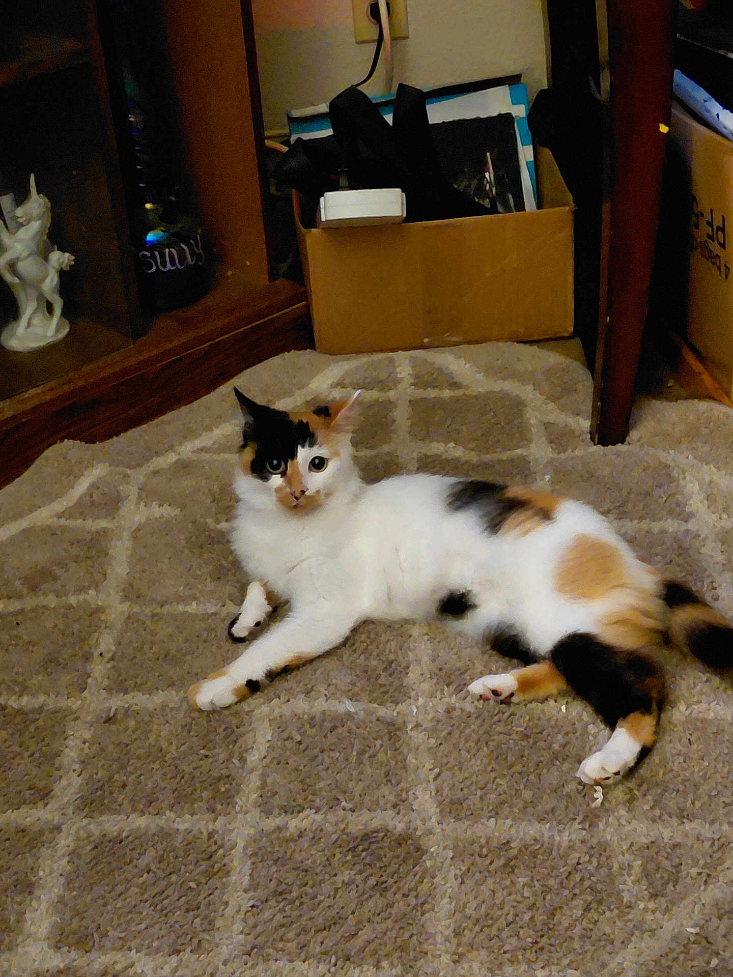 Kali