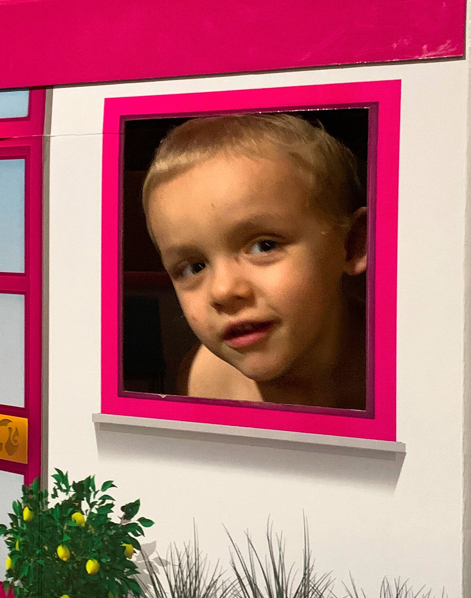Liam joined the competition — help win amazing prizes! art, baby, cheek, chin, design, flower, magenta, organ, person, photograph, picture_frame, pink, plant, rectangle, room, snapshot, tints_and_shades, toddler, window, wood