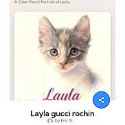 Layla Gucci is registered to the contest to win money with this photo: screenshot, mobile_phone, webpage, contest, votes, kitten, cat, portrait, colored_pencil_art, text_overlay, user_interface, app_icons, navigation_bar, share_button, profile_icon, time_display, battery_icon, signal_icon, green_banner, photograph