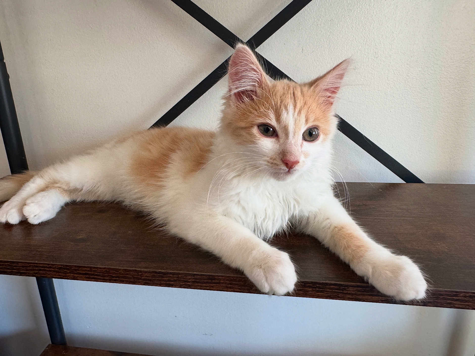 Rusty