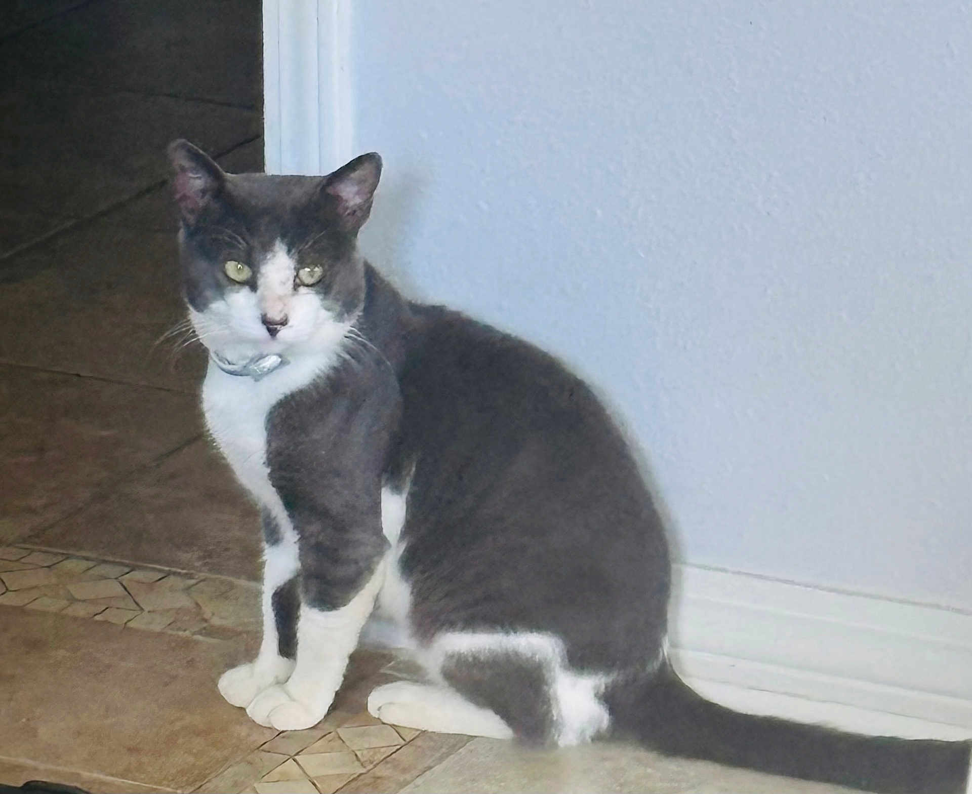 Muñeco