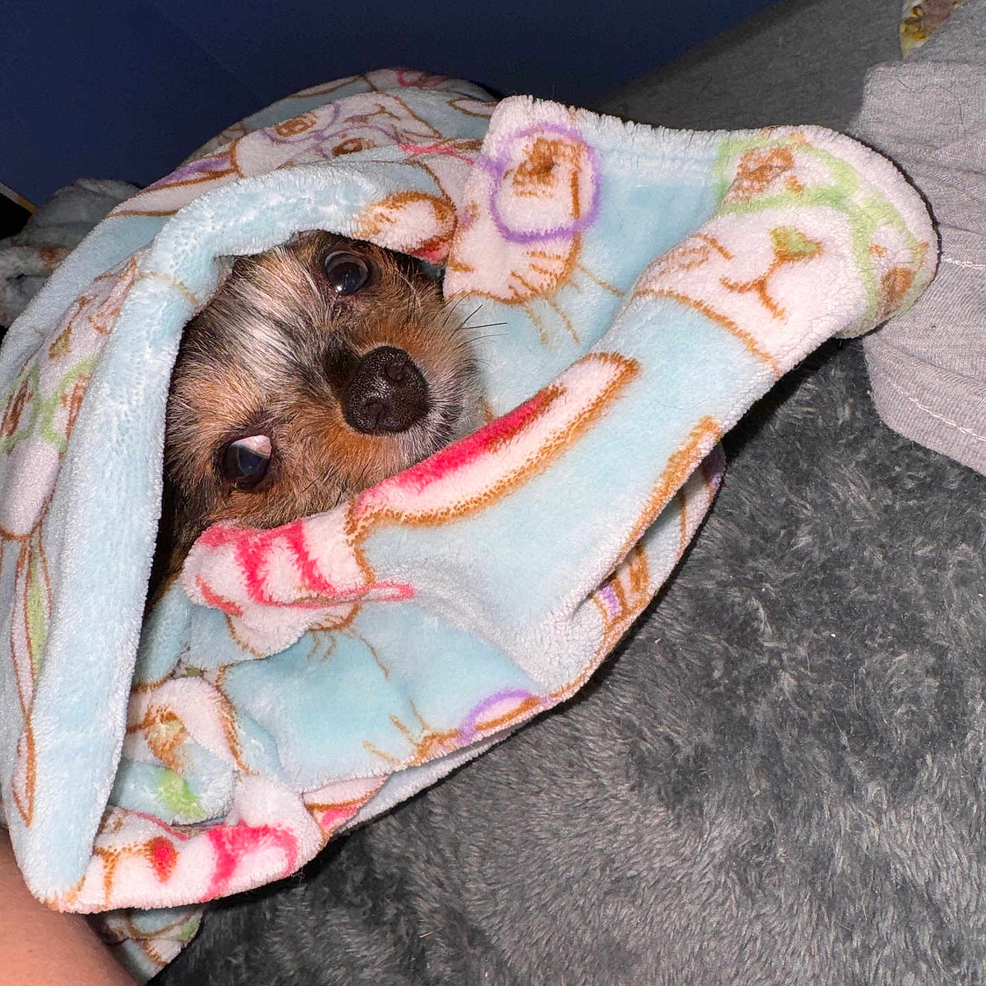 Bentlee