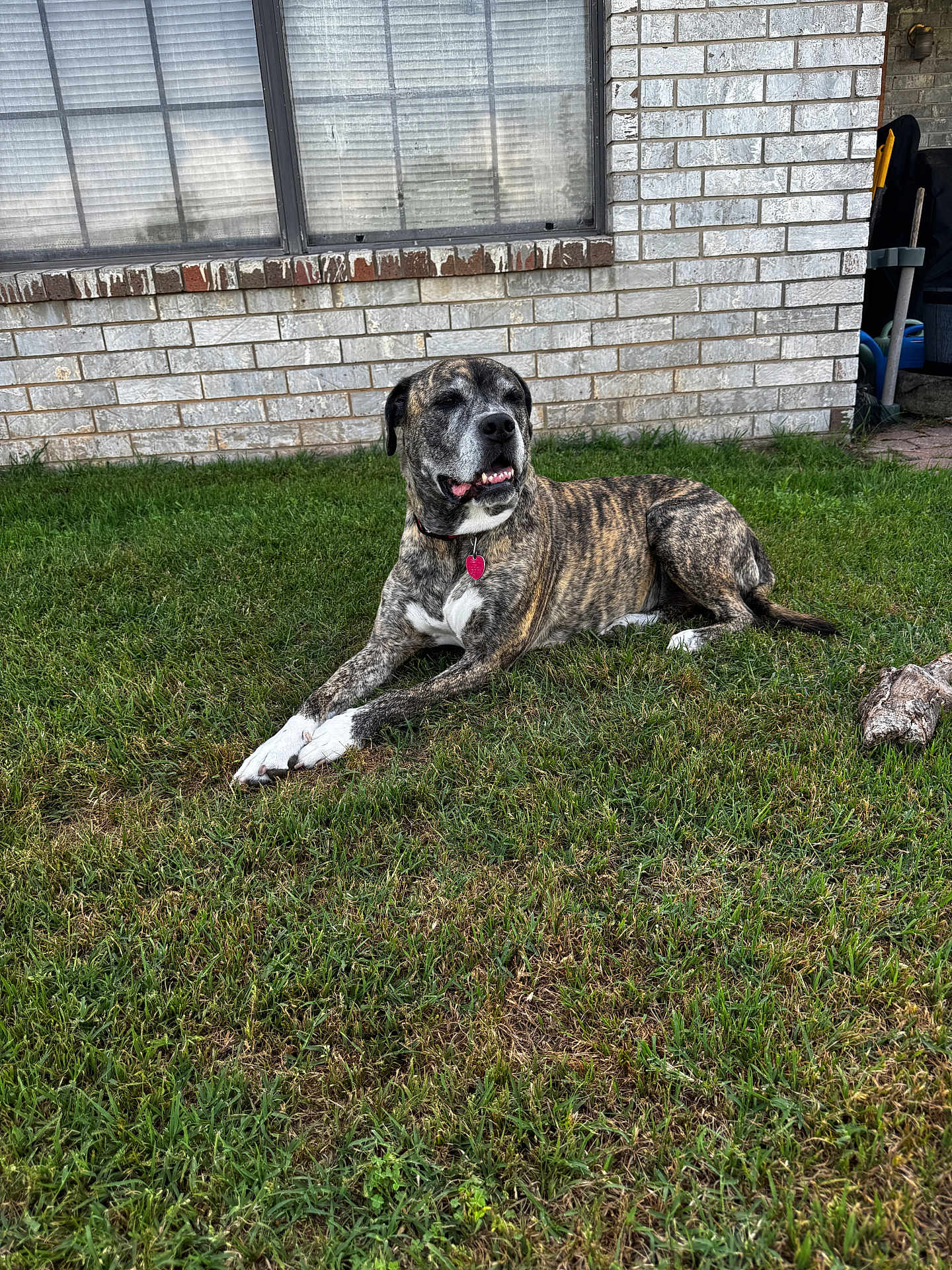 Bella