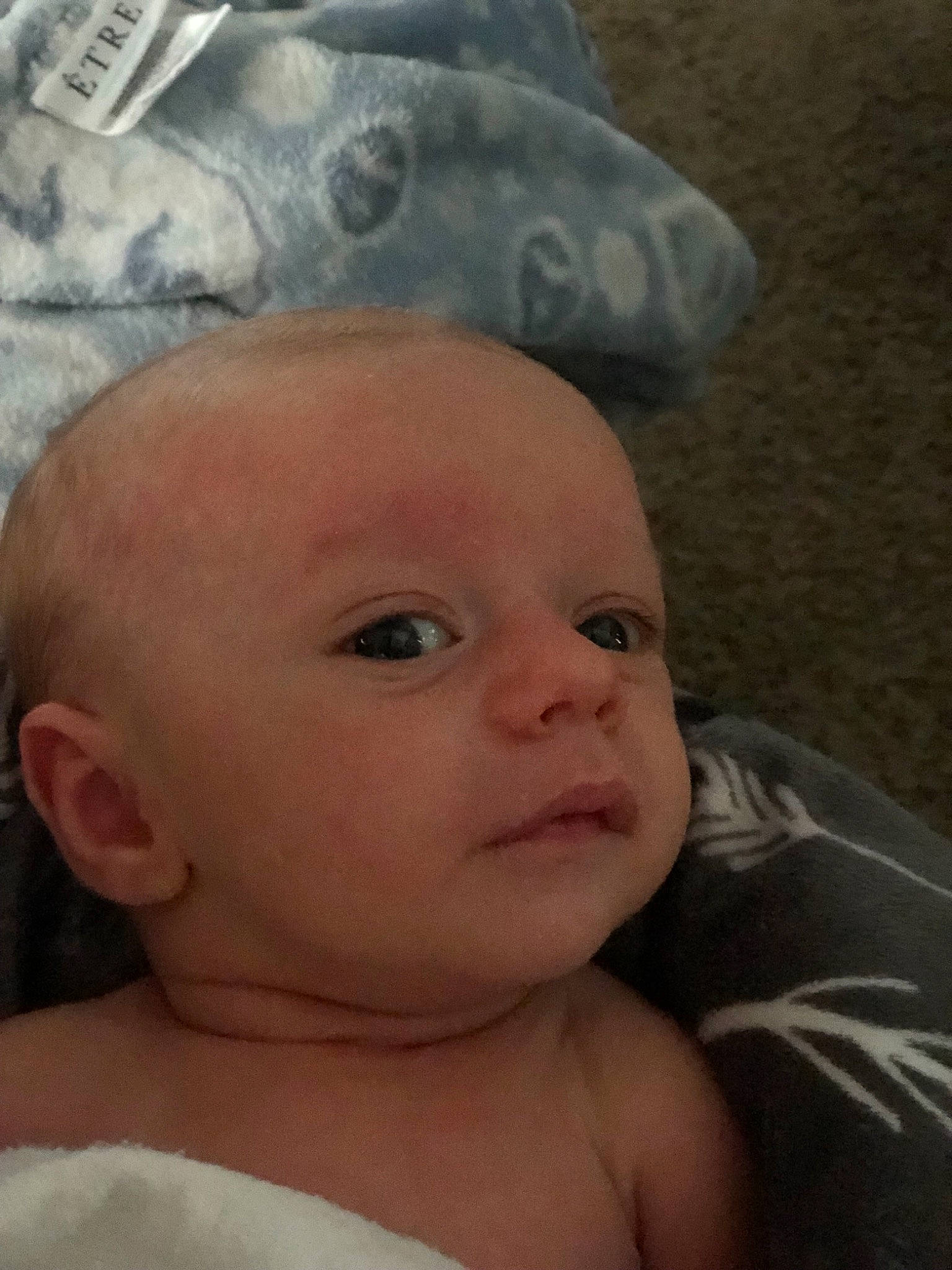 Jagger joined the competition — help win amazing prizes! baby, cheek, child, chin, ear, eye, eyebrow, face, forehead, head, iris, lip, mouth, nose, person, skin, smile, toddler