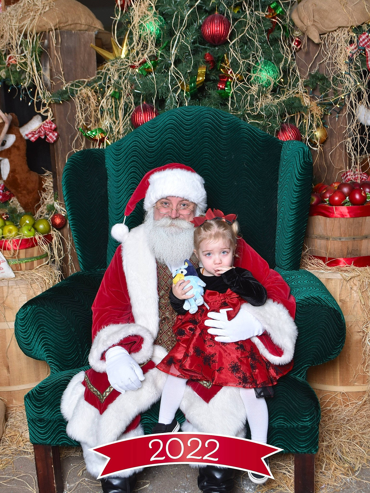 Anakin is registered to the contest to win money with this photo: beard, christmas, christmas_decoration, christmas_eve, christmas_ornament, christmas_tree, event, hat, head, headwear, holiday, human_body, lap, organ, person, photograph, santa_claus, snapshot, toddler, tradition