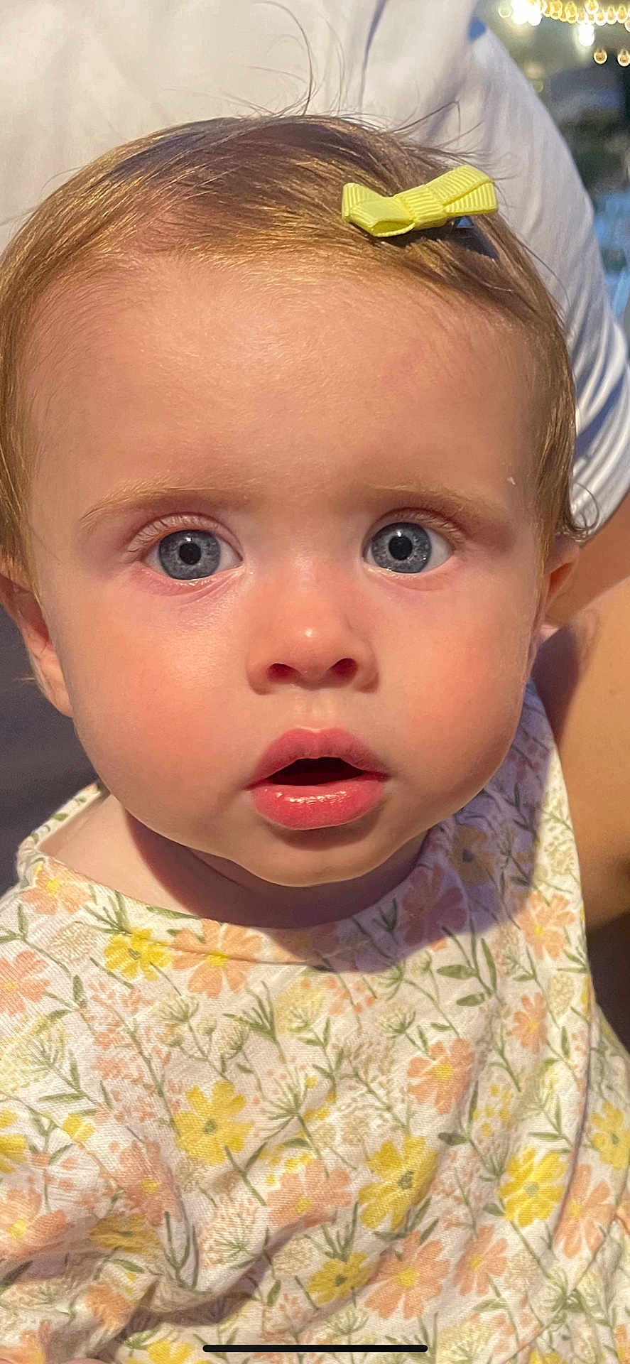 Lottie