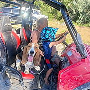 Maggie is registered to the contest to win money with this photo: dog, basset_hound, child, helmet, woman, off_road_vehicle, red_vehicle, outdoor, trees, sunlight, adventure, dusty, seat, steering_wheel, nature, grass, smiling_dog, people, family, fun